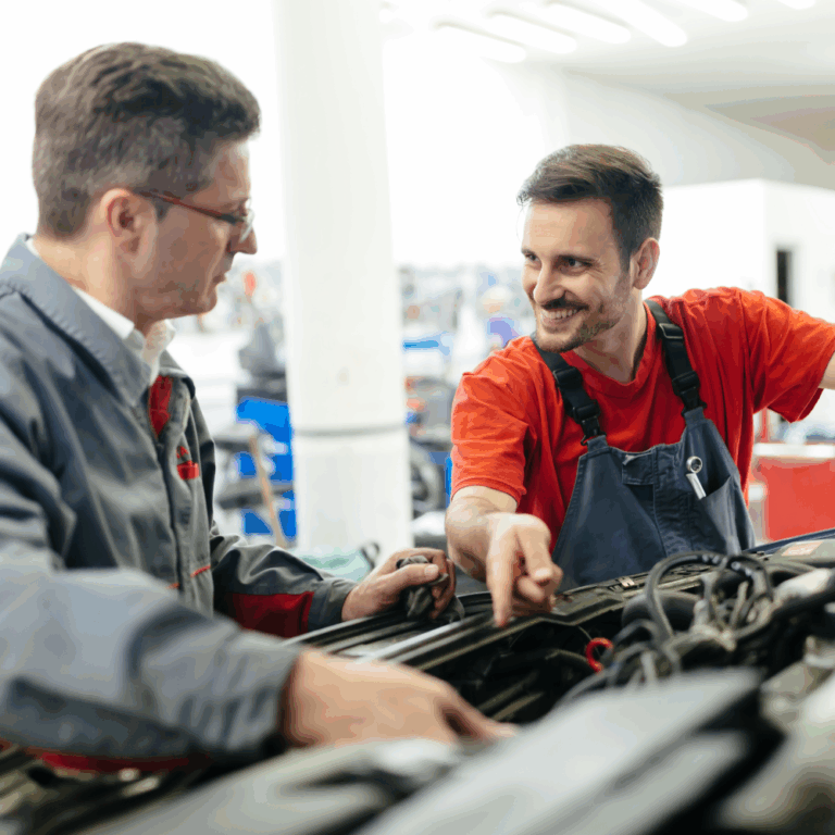 révision constructeur